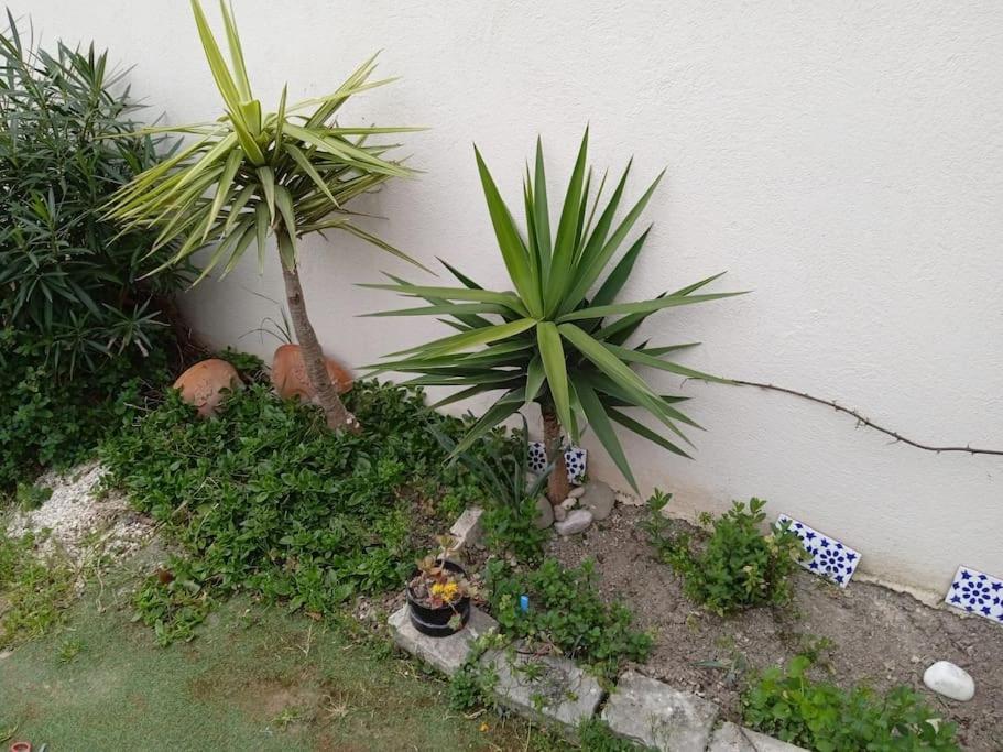Studio Independant Proximite Metro Universites Afpa Apartment Marseille Ngoại thất bức ảnh